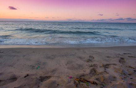 Enlli Fach cabin sleep's 2 adults and 2 children 2 dogs welcome not suitable for contract workers due to parking height restrictions - Photo 29