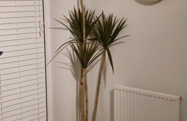 Home Like Yours - Foto 62