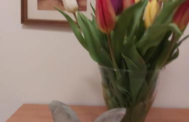 Haus Sonnenruh - Foto 29