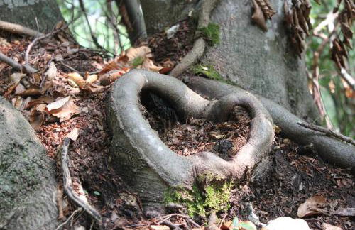 Casa Camilla Holiday - Foto 112