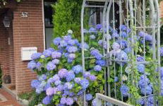 Ferienwohnung LauraH - Foto 11