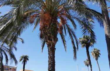 Appartamento City - Photo 39