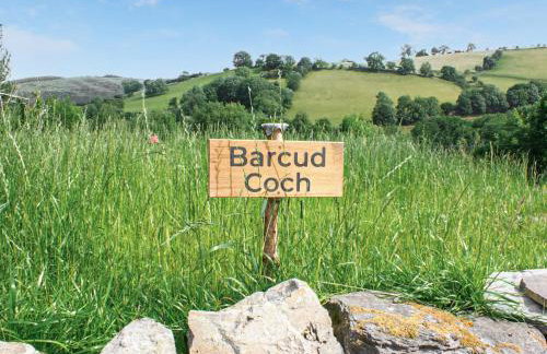 Barcud Coch - Uk44539 - Foto 22