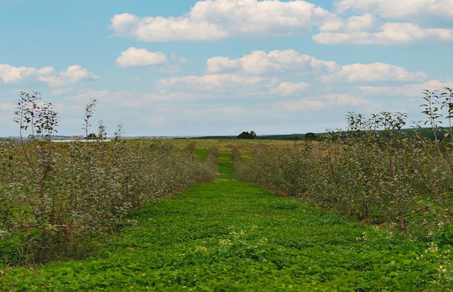 Cerro Azul Hotel Fazenda - Foto 64