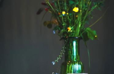 Haus Grün - Foto 16