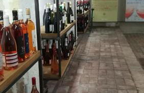 Prato Verde - Girasole - Foto 6