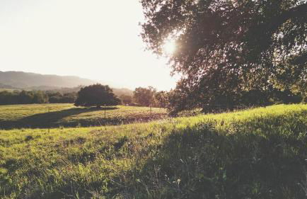 Eco-Friendly Vacation Rental with a Saltwater Pool Ideal for Weekend Trips from San Jose - Foto 19