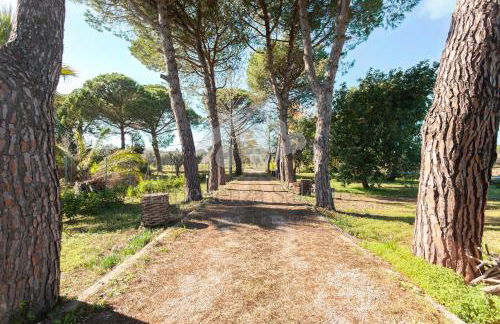 Villa Natura - Deluxe - Foto 29