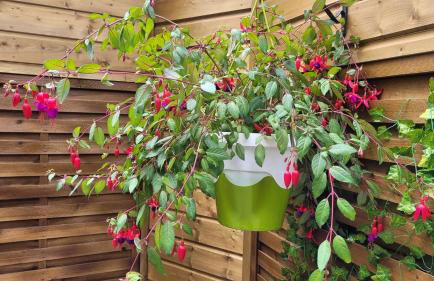 La bulle romantique - Foto 18