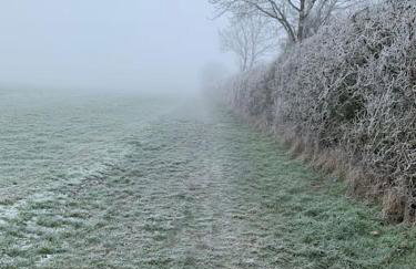 Bluebell Annexe - Foto 16