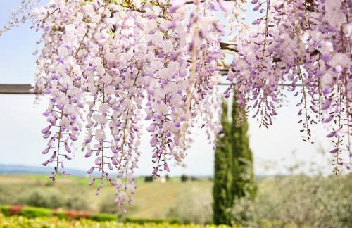 I Glicini - Casa vacanze con piscina in Toscana a 30' da Firenze - Photo 13