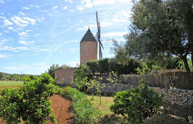 Moli de Son Vidal - Foto 44