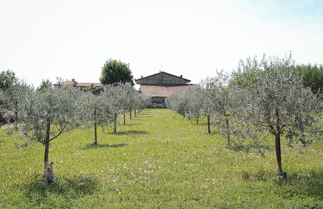 Villa Bongiovanni - Foto 49