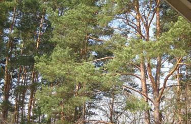 Villa Blau am Useriner See mit Garten - Photo 20