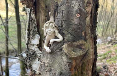 Am Apfelbaum, ein Ferienhaus zwischen Rhein und Mosel - Foto 42