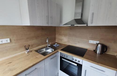 FeWo An der Elpe zwischen Winterberg und Fort Fun - Foto 6