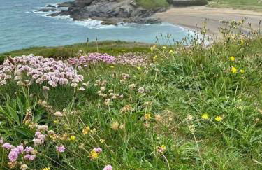 Farm accommodation - The Lizard Peninsula, Cornwall - Foto 33