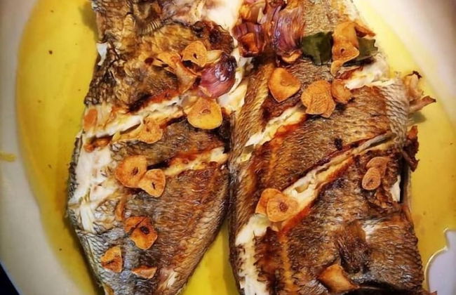 Casa do Cribeiro - Photo 43