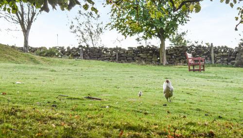 York Apartment - Photo 2