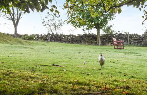 York Apartment - Photo 2