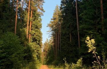 Domek wypoczynkowy Letnisko Sosenkowo - Foto 47