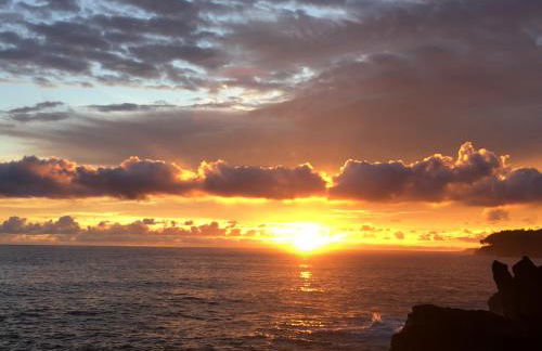 Mediteranean style Ohana Rental / Garden Bungalow in Pahoa - Photo 32