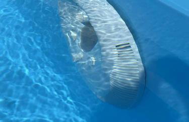 Happy Jura - Photo 49