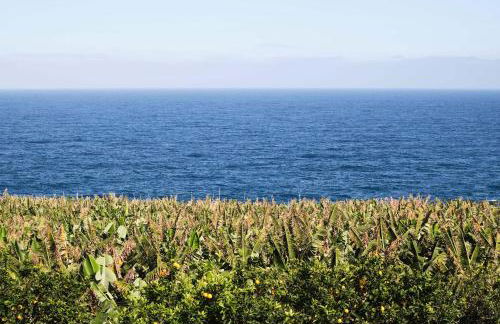 El Convento II, tranquilidad y vistas únicas - Foto 19