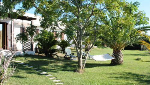 Vecchio Ulivo - Foto 2