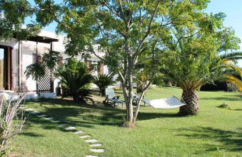 Vecchio Ulivo - Foto 2