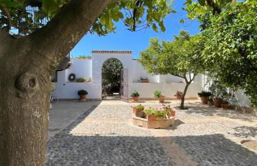 Finca Olivo Llorón - Foto 32