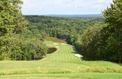 Lake and Golf Course Views Big Canoe Home with Deck! - Foto 30