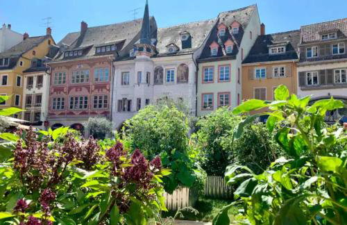 Les 6 Cordiers au coeur de ville - Photo 20