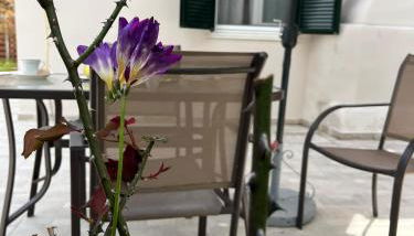 g&z cottage - Foto 2