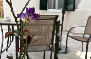 g&z cottage - Foto 2