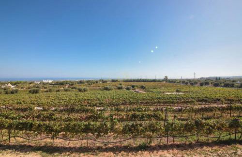 TD Tenuta Donna Madia Sea View Pool Over Vineyard - Foto 93
