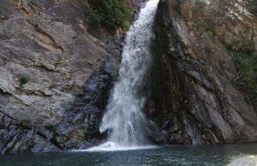 Az. Agr. IL PARADISO di Beatrice Bondielli - Foto 13