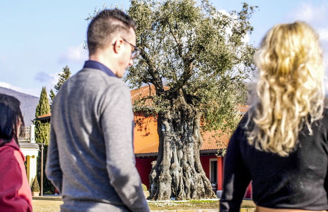 Il Roncal Wine Resort - Foto 41