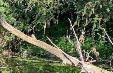 FERIENWOHNUNG ALL YOU NIED mit NIEDBLICK und TERRASSE - Foto 17