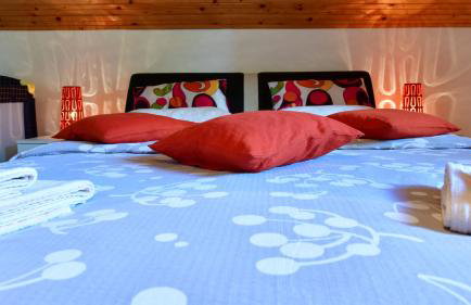 Apartman Jelena - Foto 11