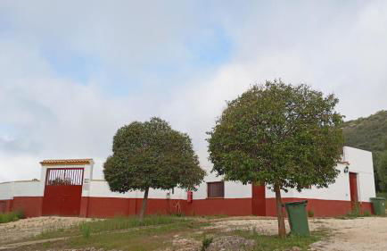 Casas Rurales Cortijo la Cañada - Photo 48