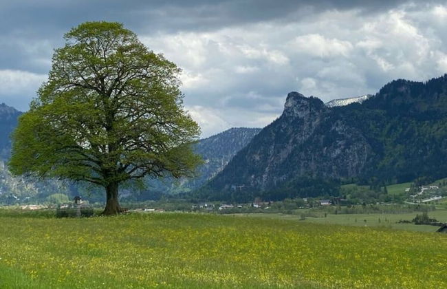 Holiday Home in Oberammergau - Photo 25