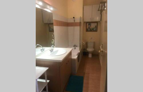 T2 "Le Dahu" Résidence Grand Hôtel appt 102 - village thermal montagne - Foto 7