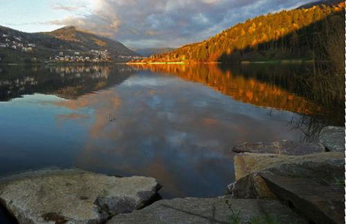 Appartamento EDELWEISS - Foto 33