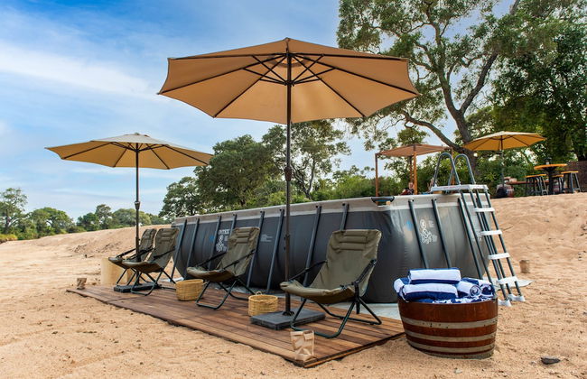 Kruger Untamed - Tshokwane River Camp - Photo 20