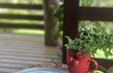 Espaço Isha Canelinha - Foto 34