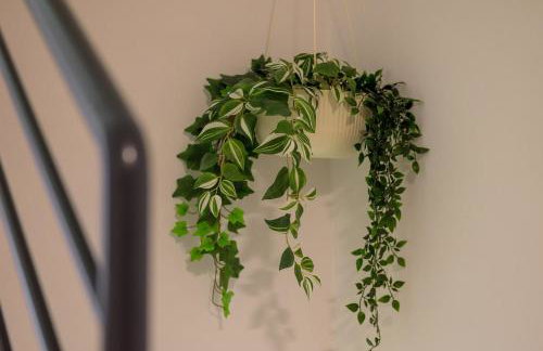 Villa Perini by IstriaLux - Foto 6