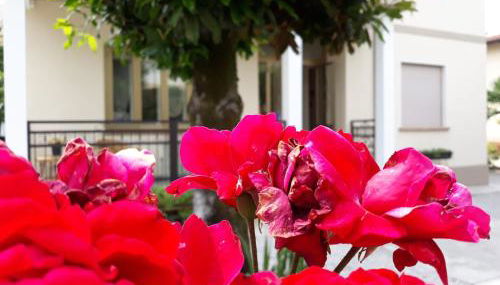 CASA ROMAN ITALIA, Center Sacile - Foto 3, Garden view