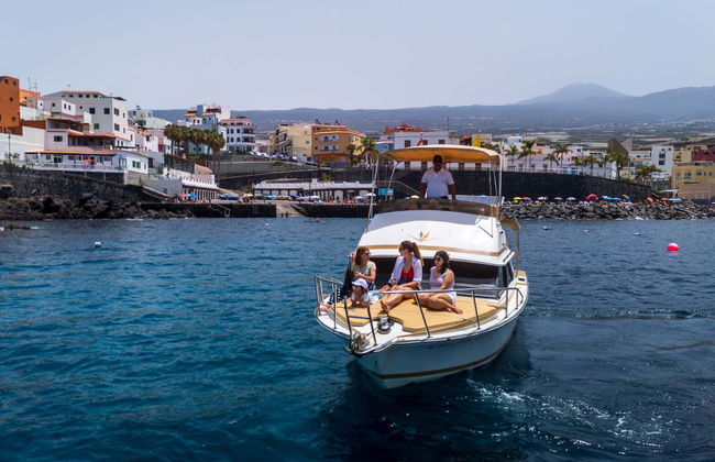Giro in barca privato da Playa San Juan - Foto 2