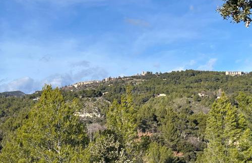 La Tour de Roubeirolle - Foto 45